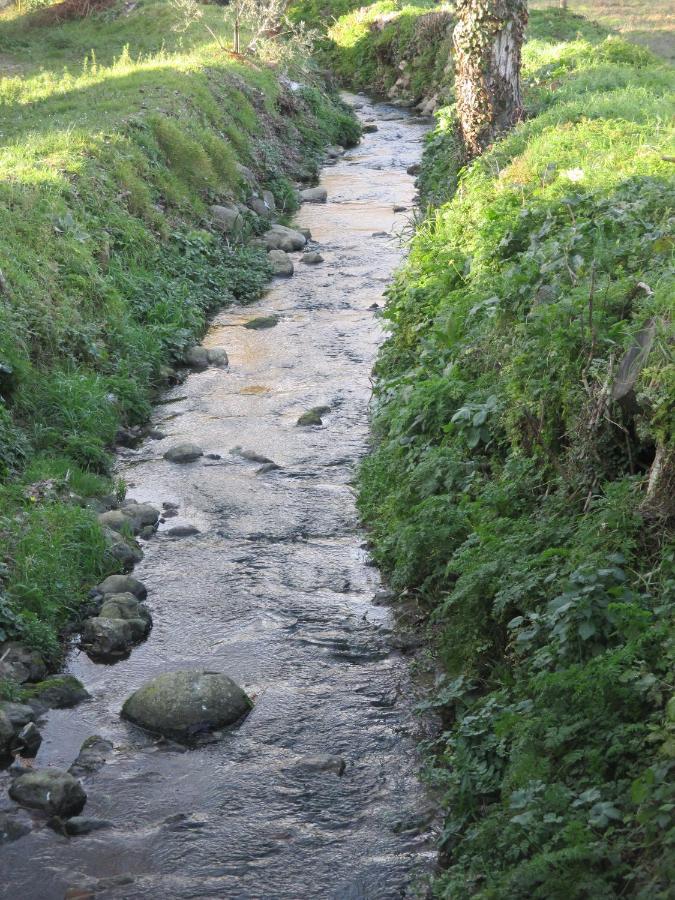 Podere Pian Dei Gelsi Volterra Exteriör bild