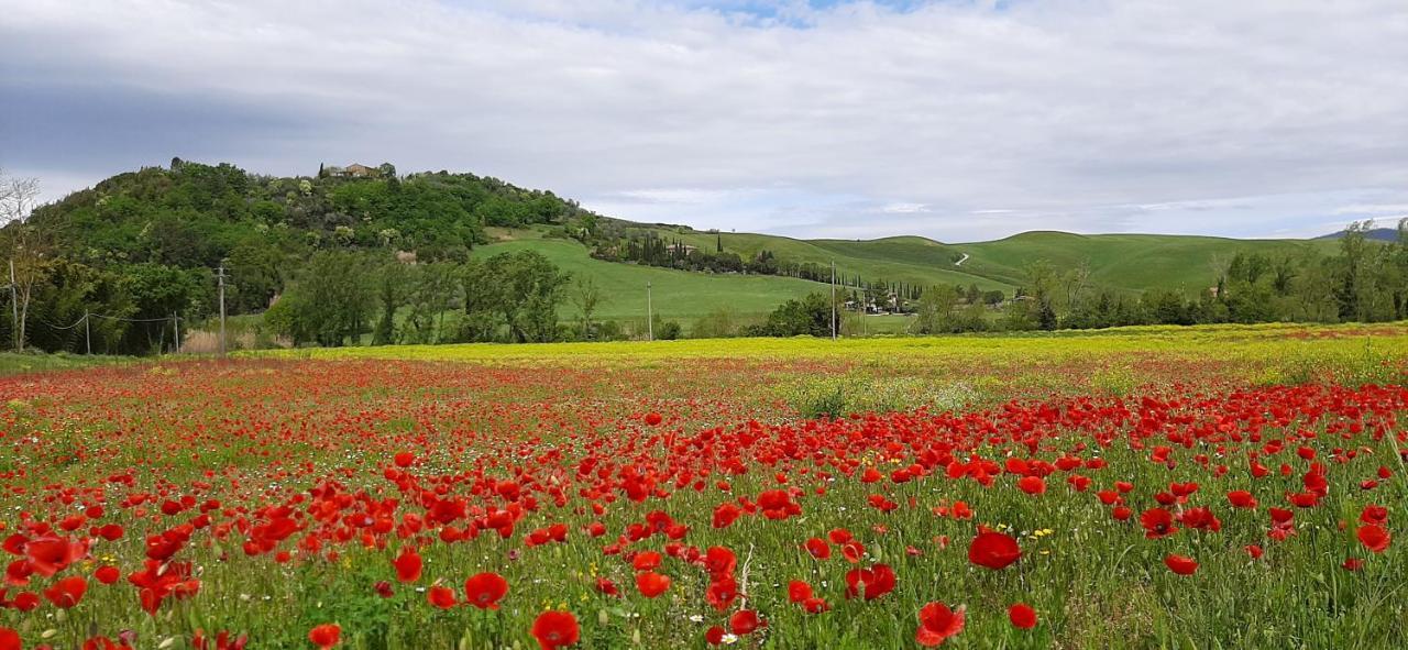Podere Pian Dei Gelsi Volterra Exteriör bild