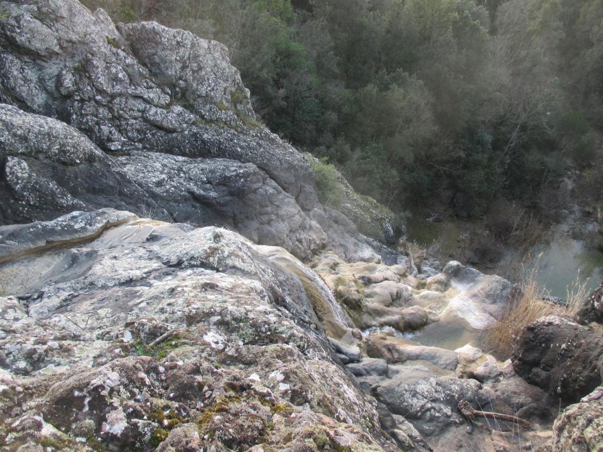 Podere Pian Dei Gelsi Volterra Exteriör bild