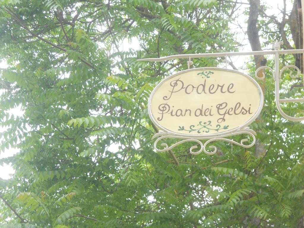 Podere Pian Dei Gelsi Volterra Exteriör bild