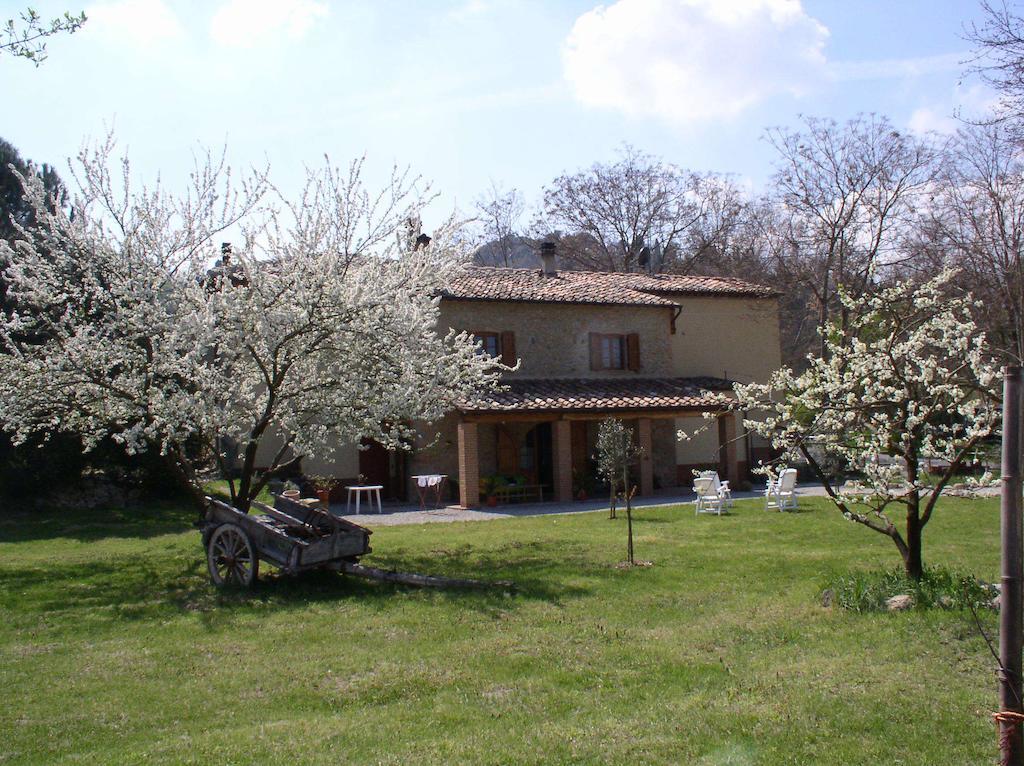 Podere Pian Dei Gelsi Volterra Exteriör bild