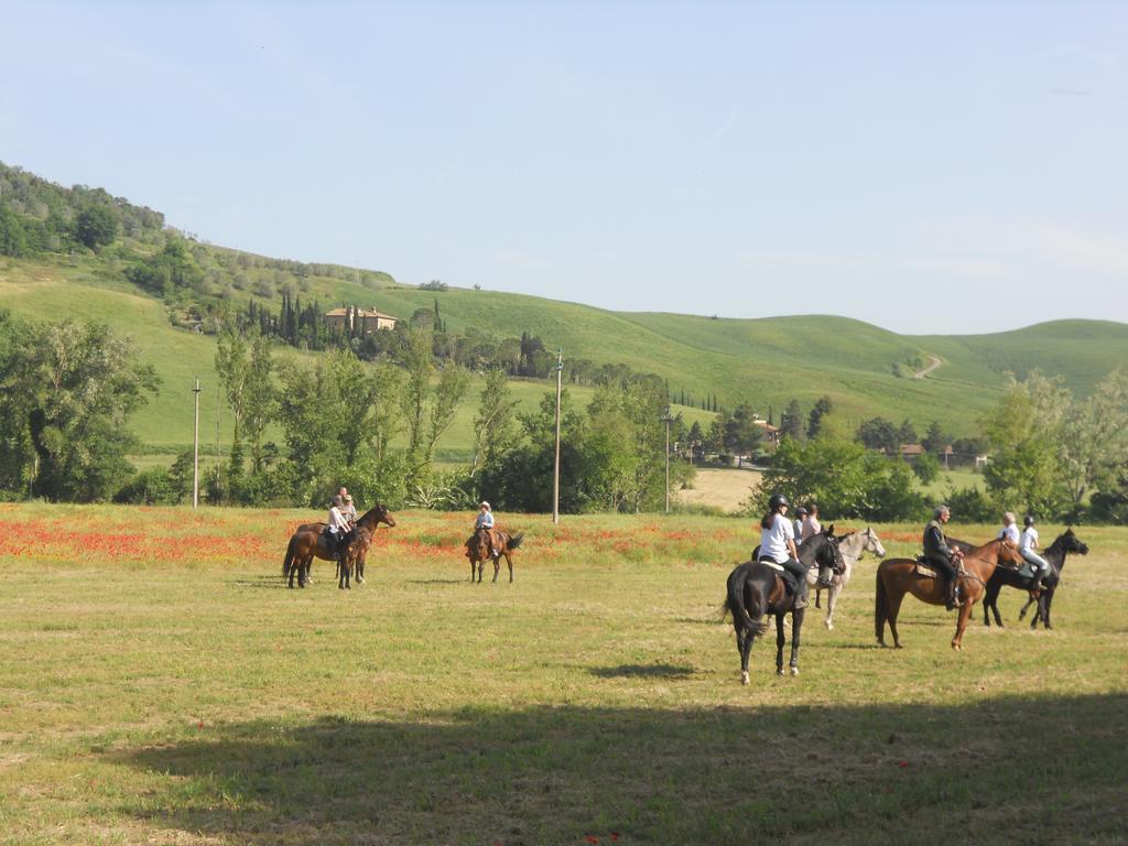 Podere Pian Dei Gelsi Volterra Exteriör bild